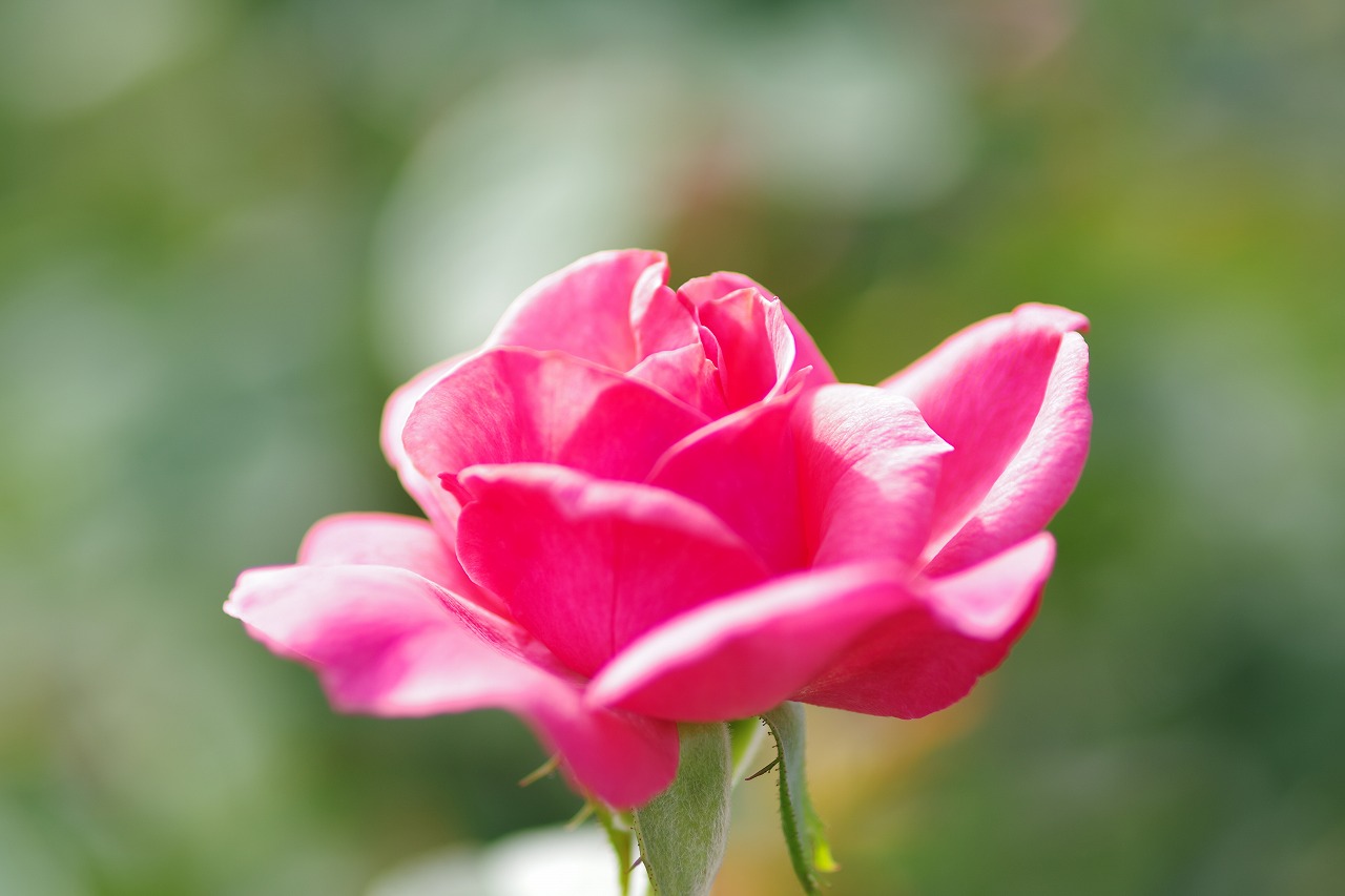 神奈川県横浜市のみなとみらいの夜景
