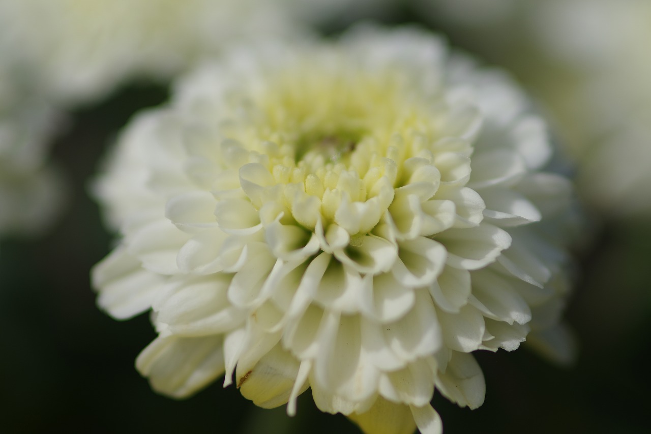 神奈川県横浜市のみなとみらいの夜景