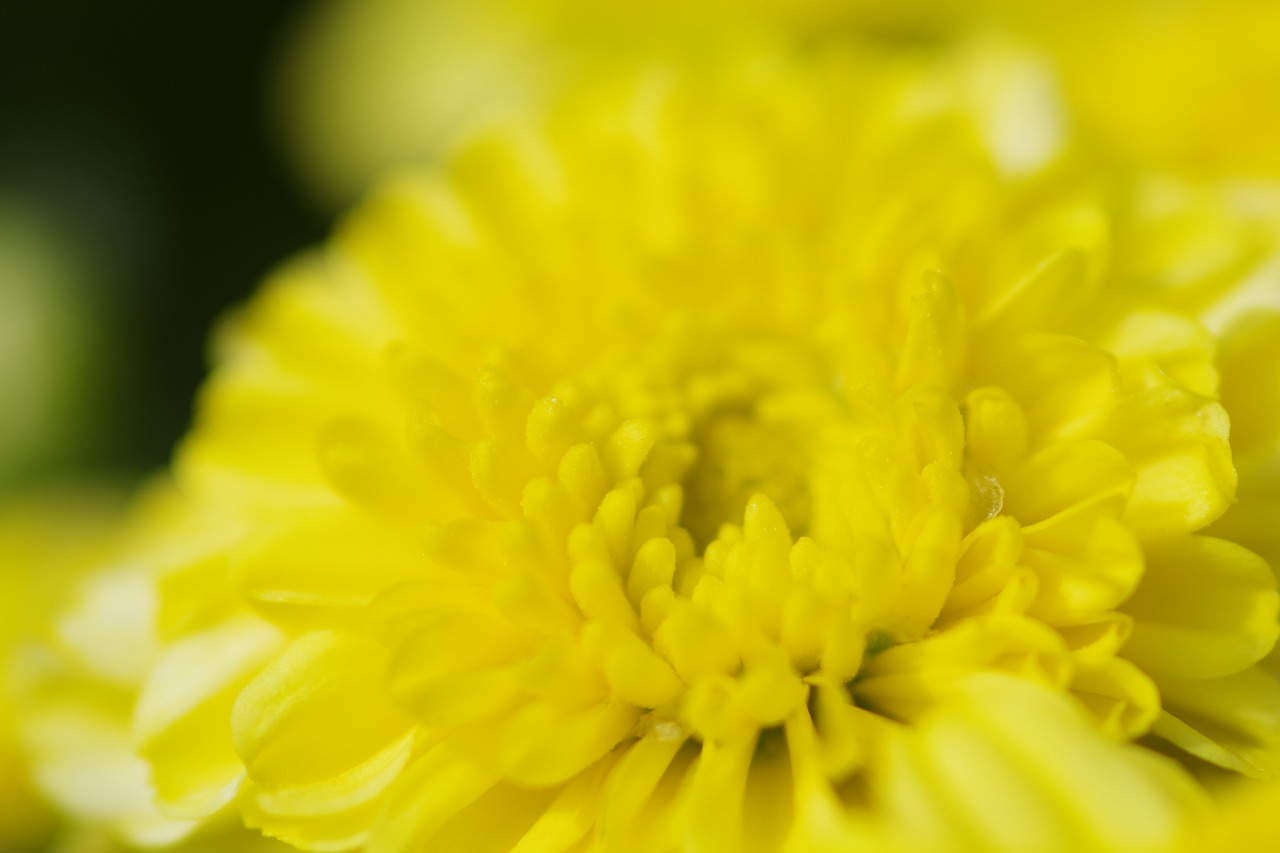 神奈川県横浜市のみなとみらいの夜景