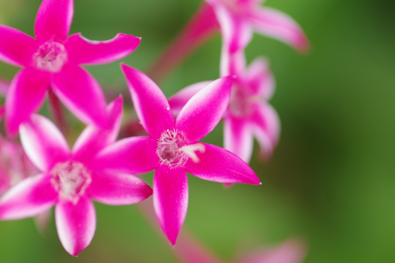 神奈川県横浜市のみなとみらいの夜景