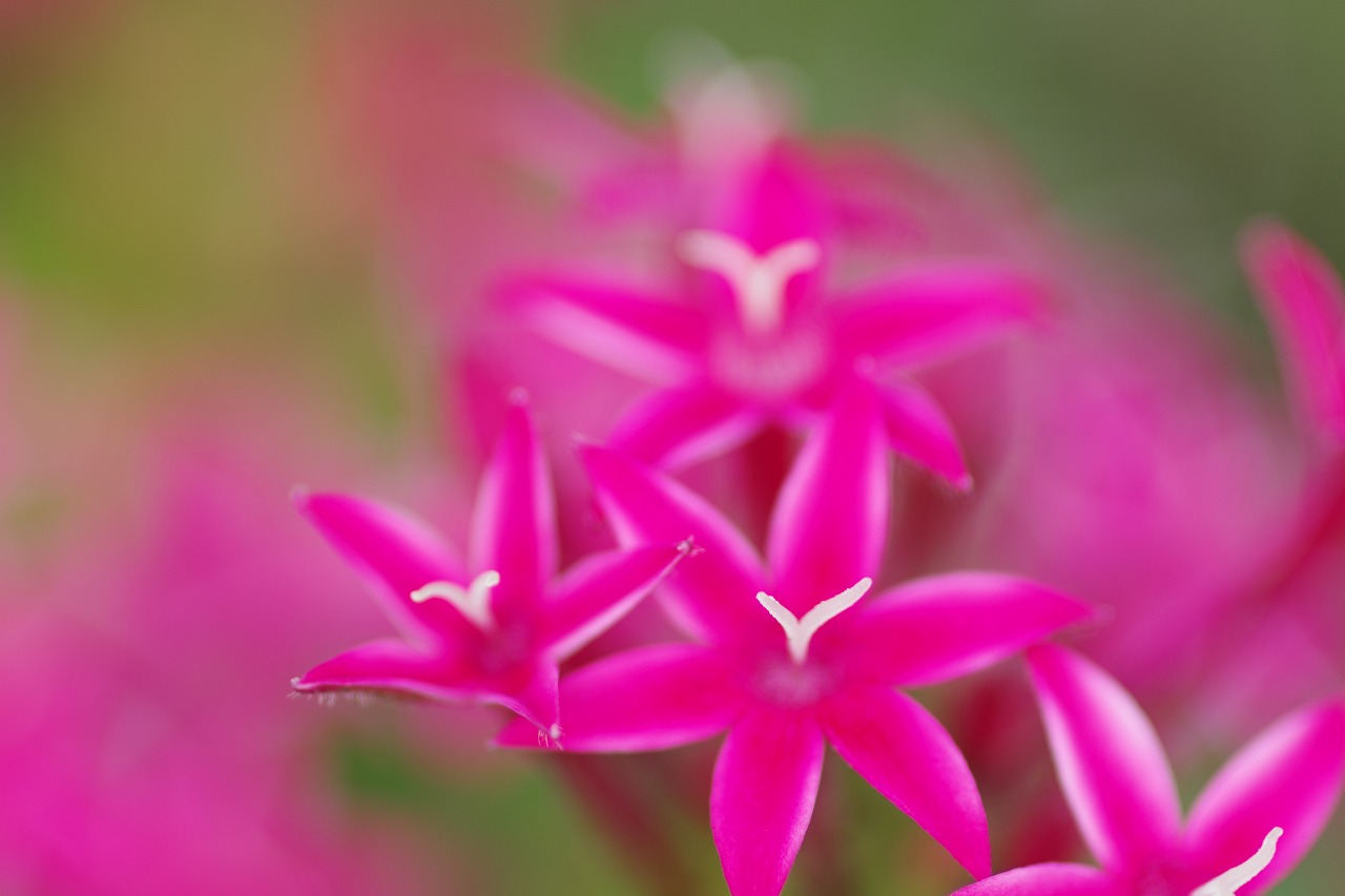 神奈川県横浜市のみなとみらいの夜景