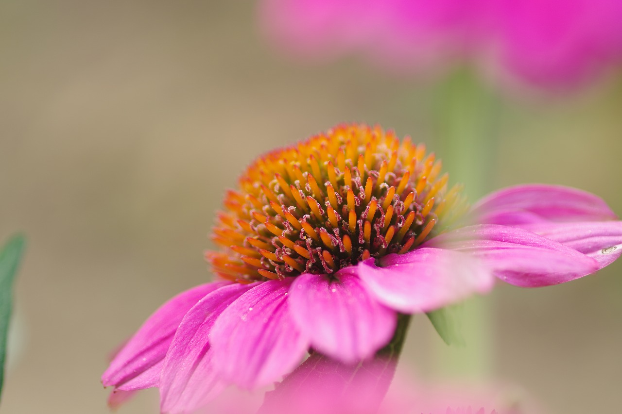 神奈川県横浜市のみなとみらいの夜景