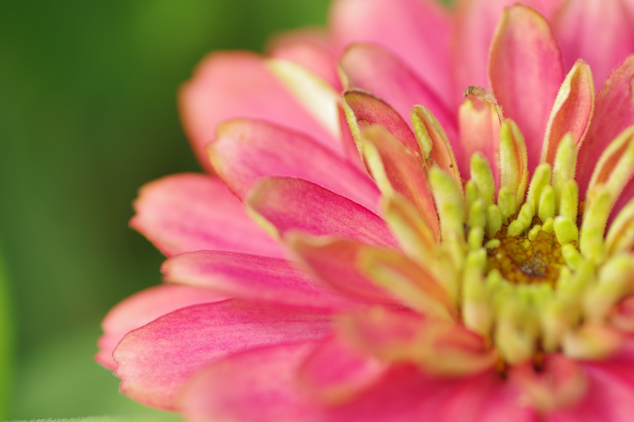 神奈川県横浜市のみなとみらいの夜景