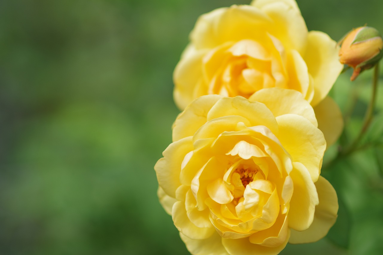神奈川県横浜市のみなとみらいの夜景