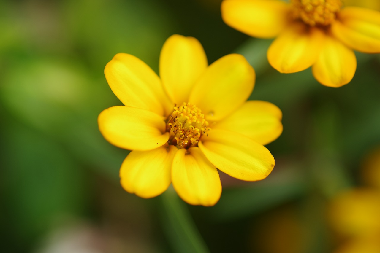 神奈川県横浜市のみなとみらいの夜景