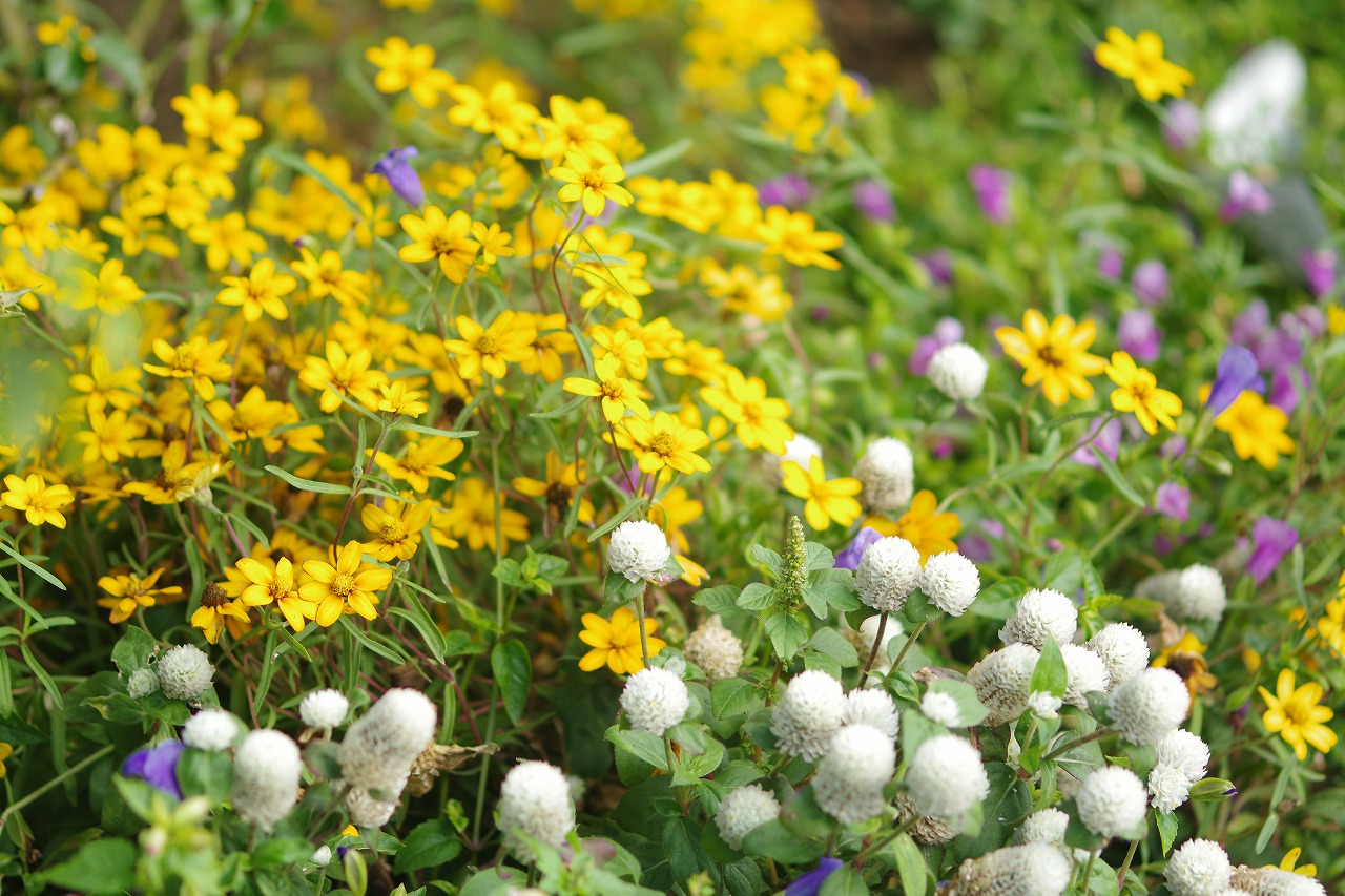 神奈川県横浜市のみなとみらいの夜景