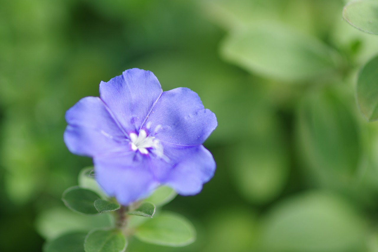 神奈川県横浜市のみなとみらいの夜景