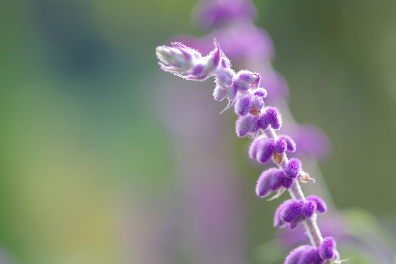 神奈川県横浜市のみなとみらいの夜景