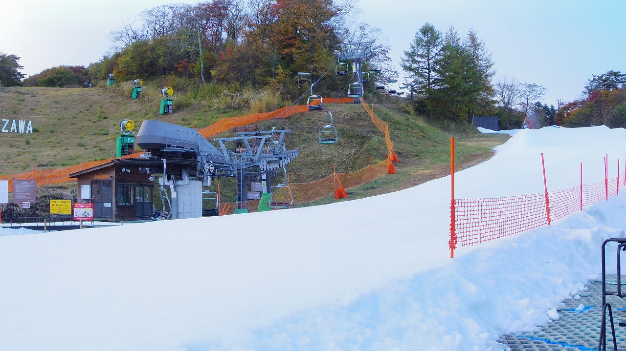 あしかがフラワーパークの花々