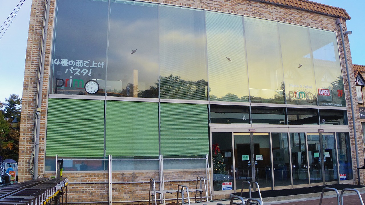 あしかがフラワーパークの花々