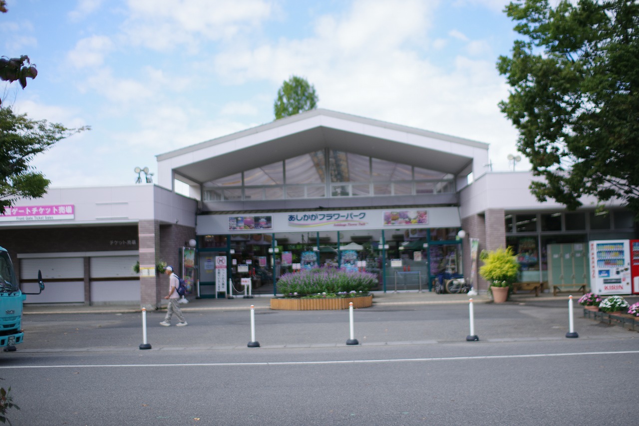 あしかがフラワーパークの花々