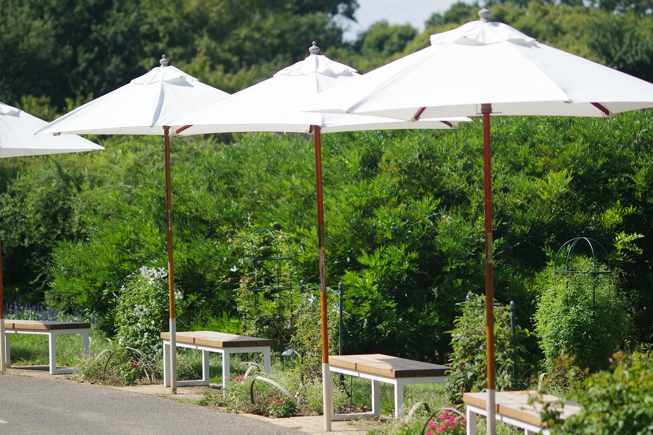 あしかがフラワーパークの花々