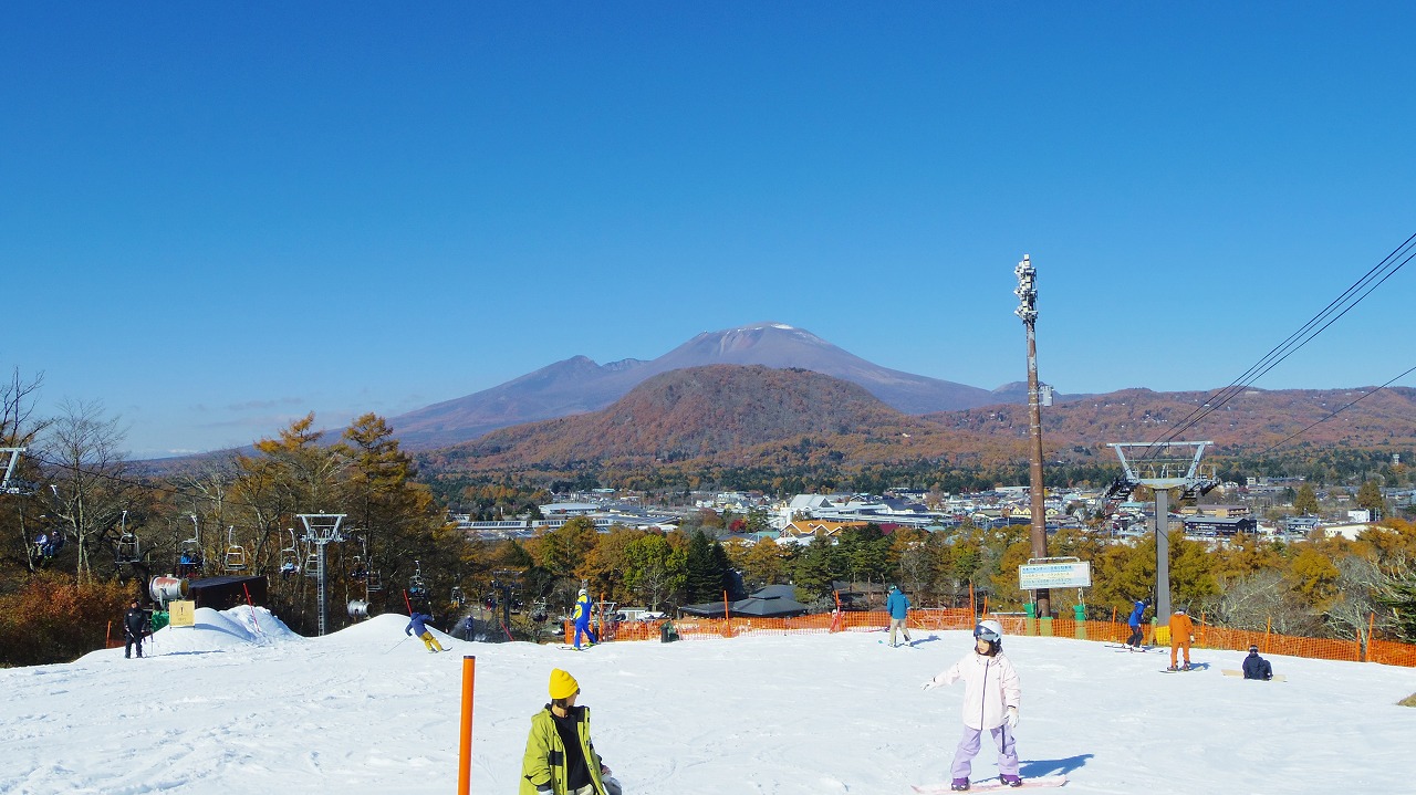 あしかがフラワーパークの花々