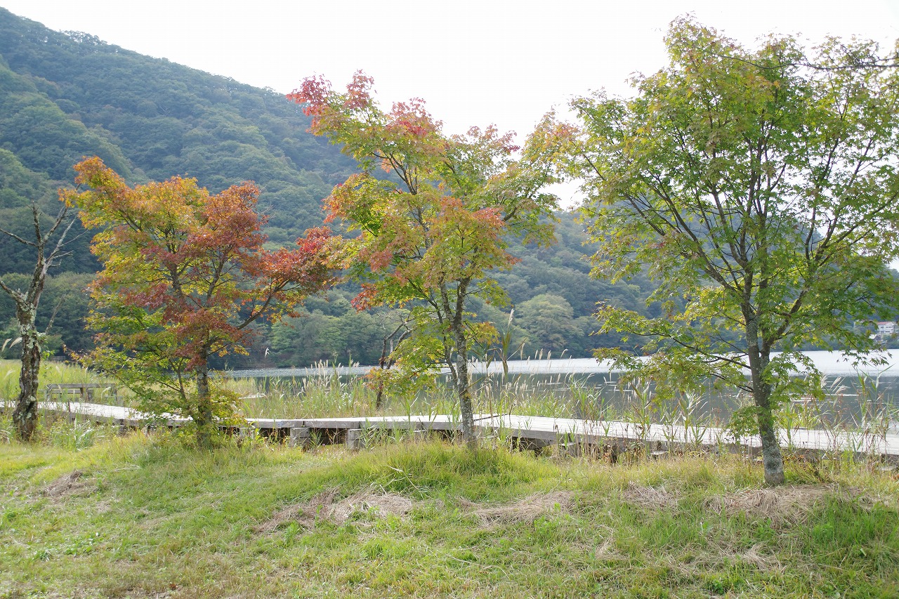 群馬県高崎市の榛名湖の小さな秋