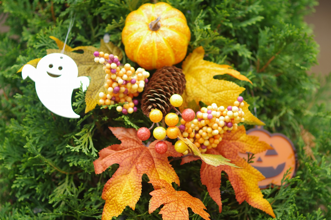 栃木県足利市のあしかがフラワーパークの花々