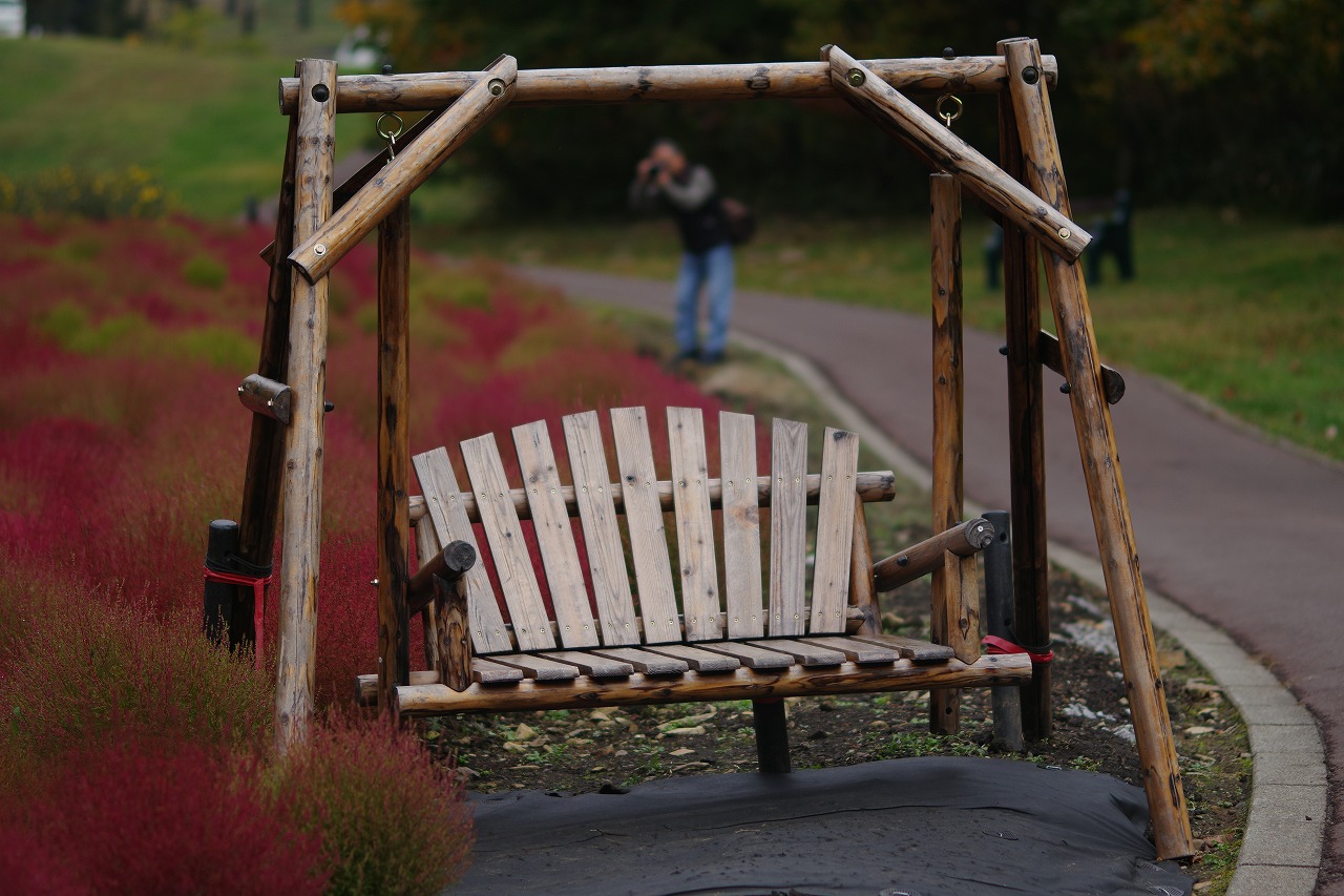 群馬県沼田市の玉原高原のコキア