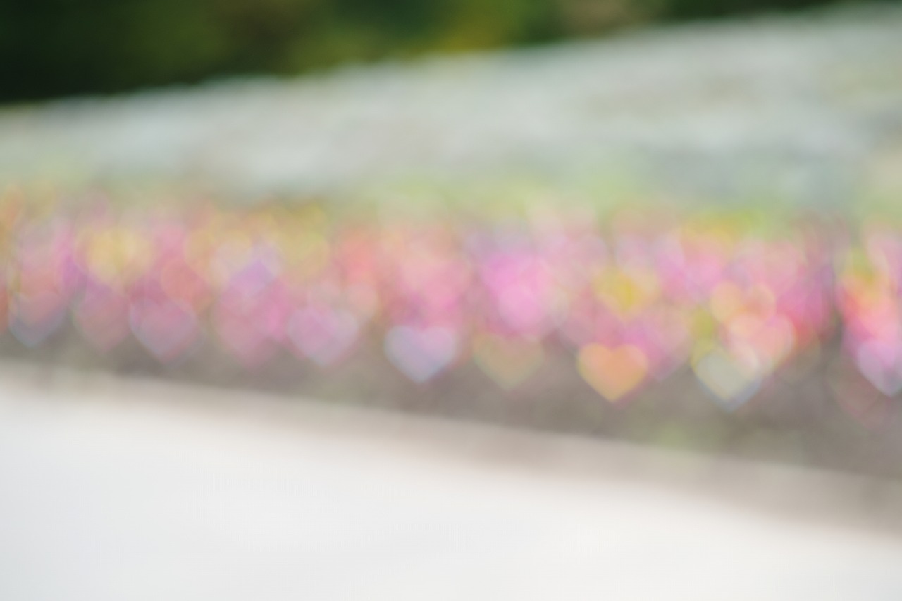 群馬県沼田市の玉原高原のコキア