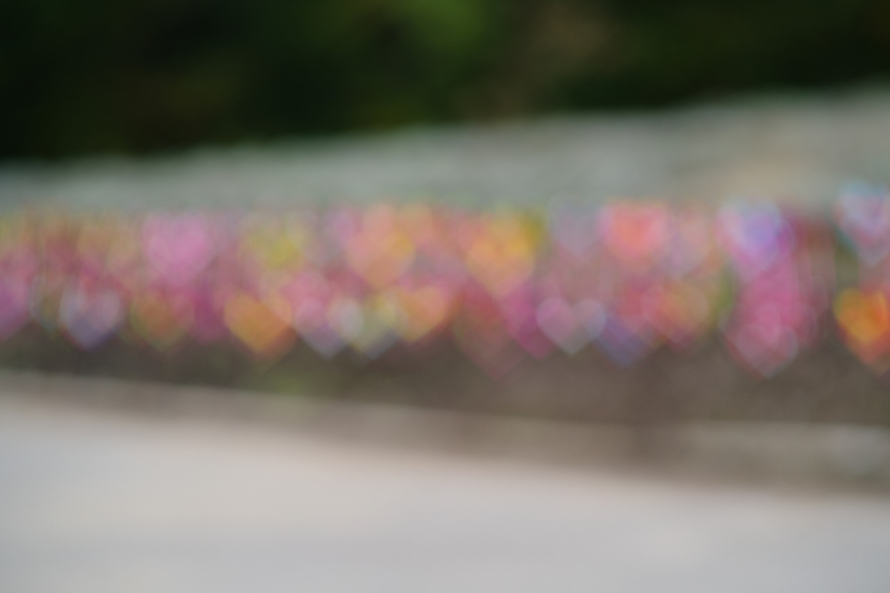 群馬県沼田市の玉原高原のコキア