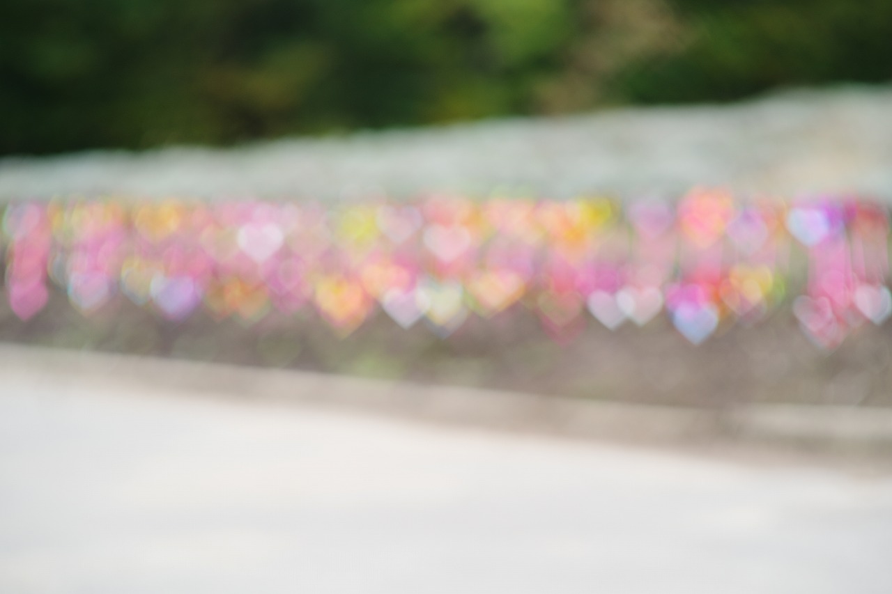 群馬県沼田市の玉原高原のコキア