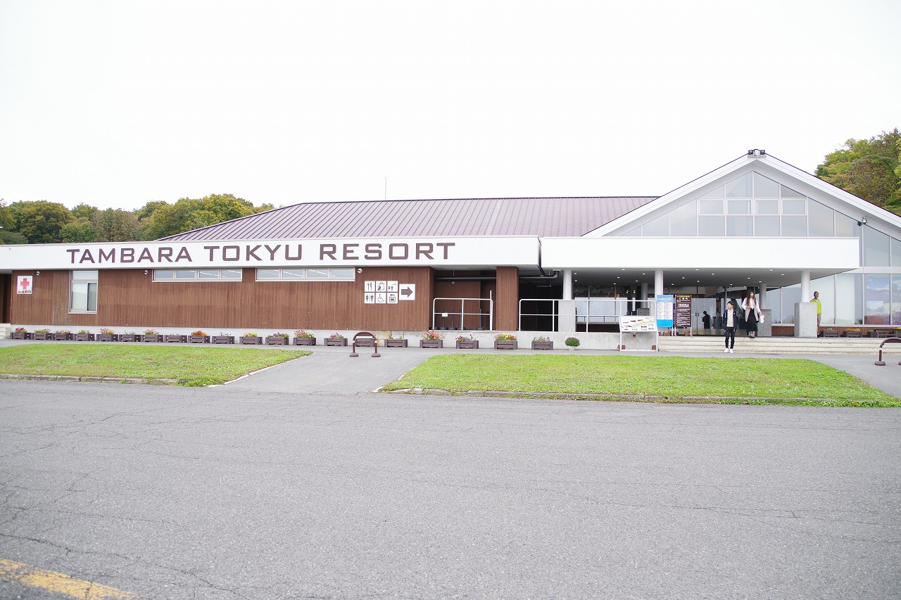 群馬県沼田市の玉原高原のコキア