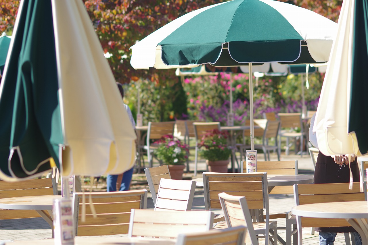 栃木県足利市のあしかがフラワーパークの花々