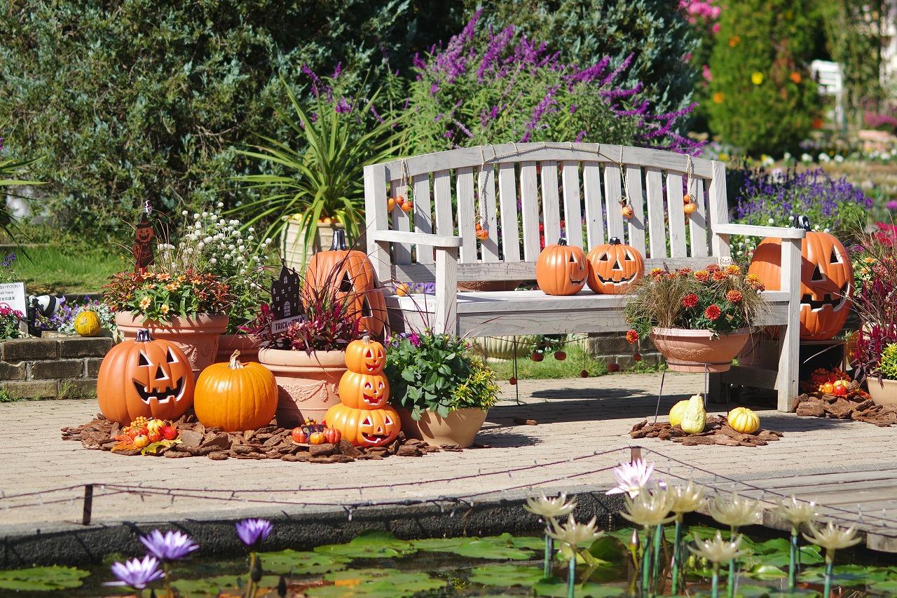 栃木県足利市のあしかがフラワーパークの花々