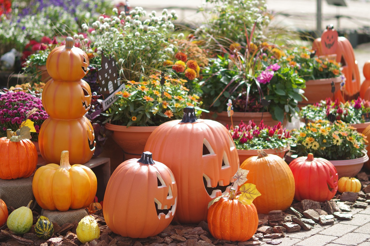 栃木県足利市のあしかがフラワーパークの花々