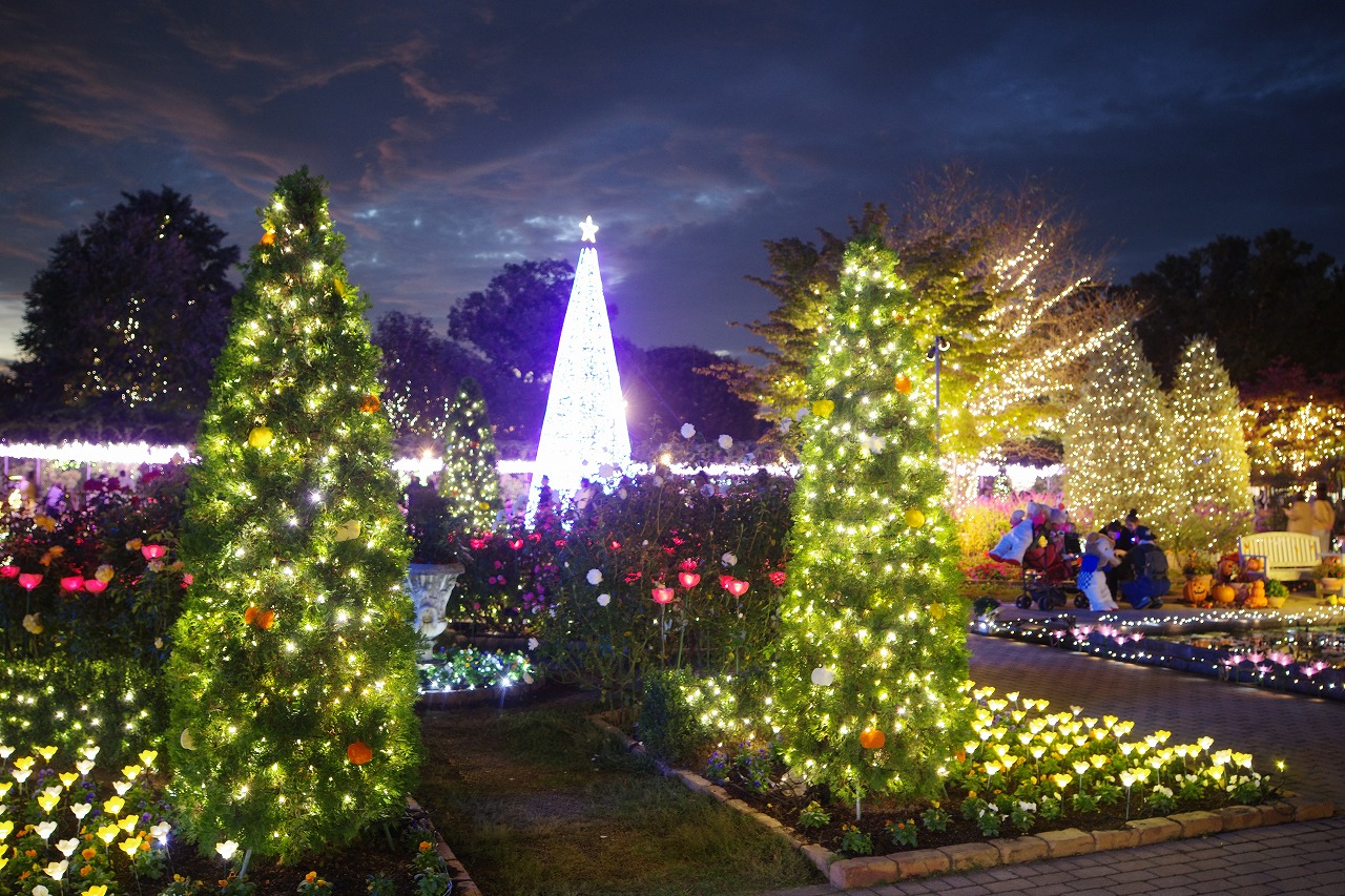 栃木県足利市のあしかがフラワーパークのイルミネーション