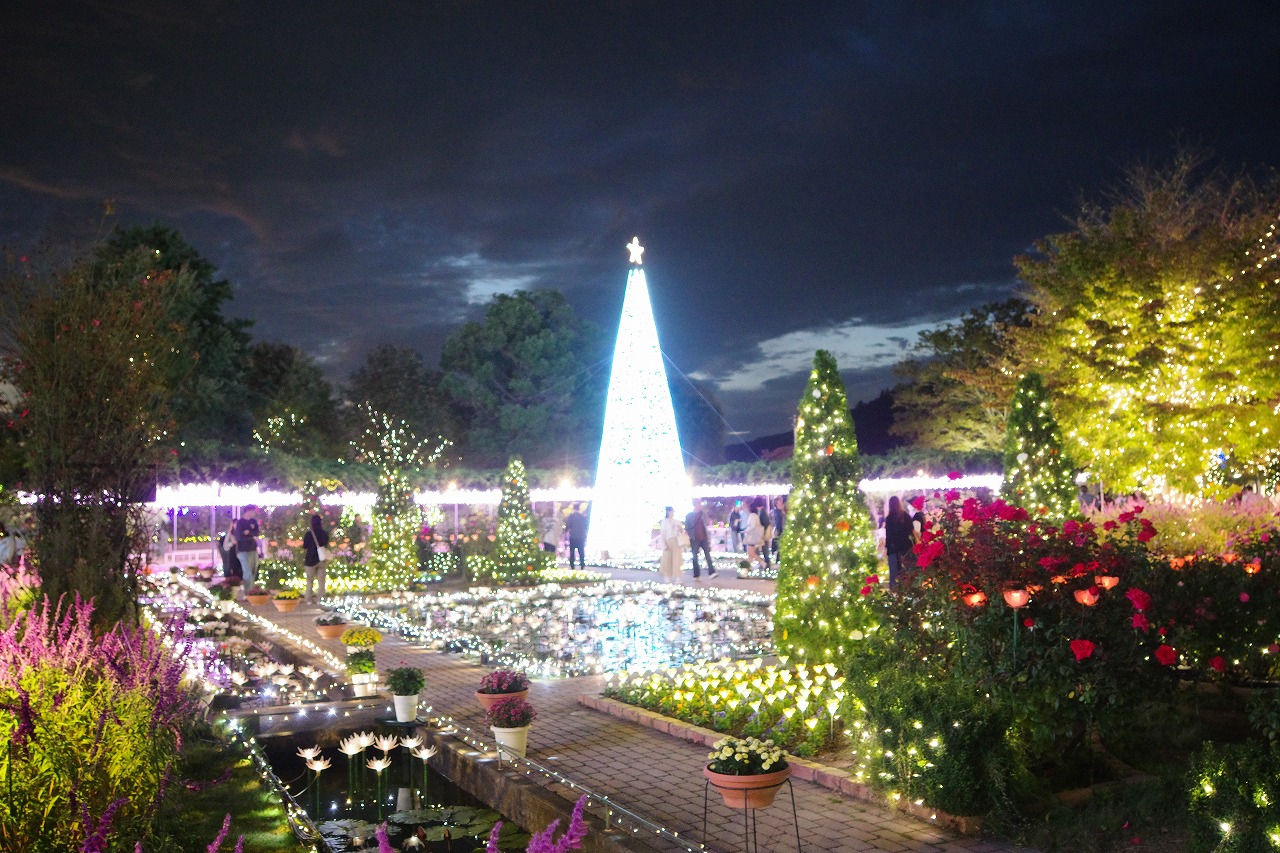 栃木県足利市のあしかがフラワーパークのイルミネーション