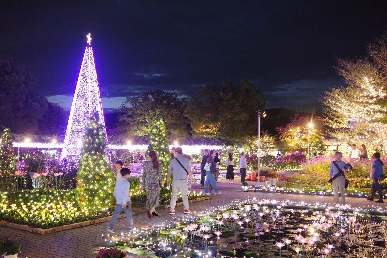 栃木県足利市のあしかがフラワーパークのイルミネーション