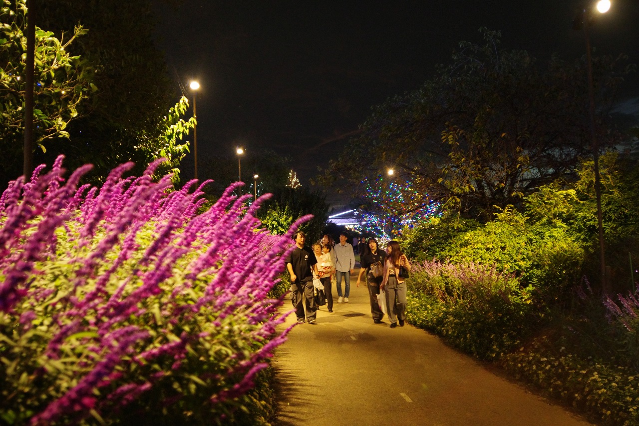 栃木県足利市のあしかがフラワーパークのイルミネーション