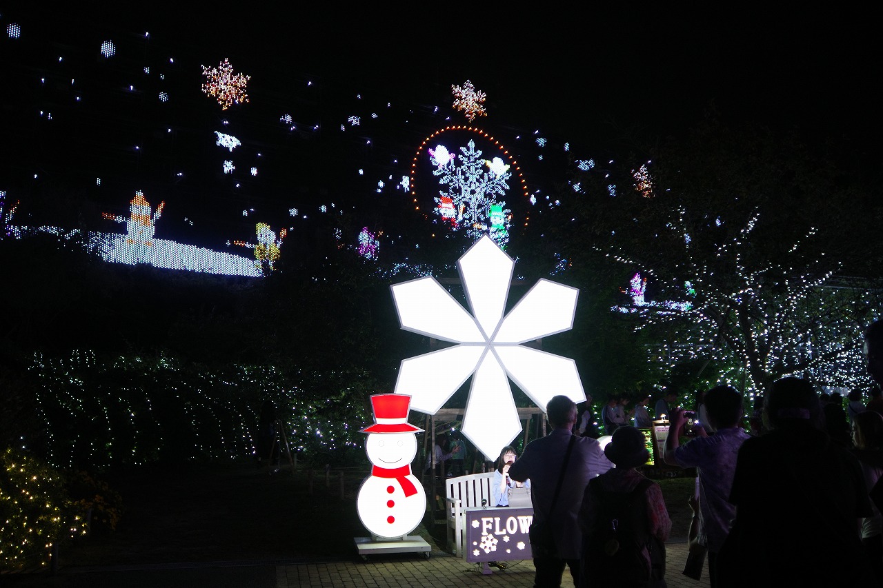 栃木県足利市のあしかがフラワーパークのイルミネーション