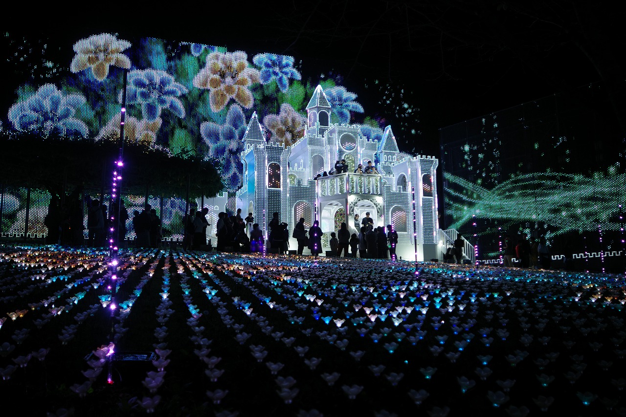 栃木県足利市のあしかがフラワーパークのイルミネーション