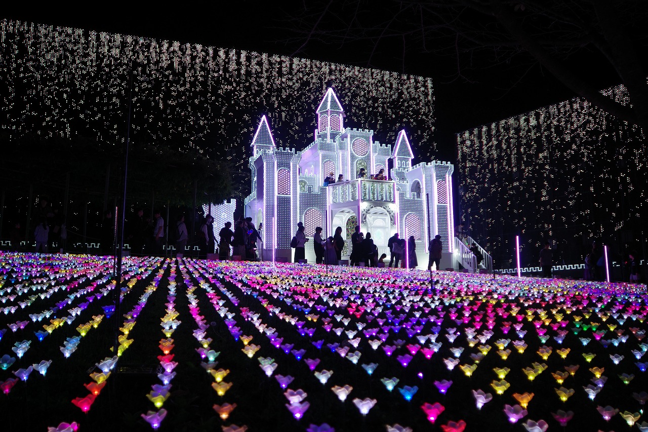 栃木県足利市のあしかがフラワーパークのイルミネーション