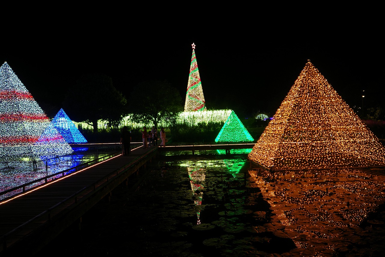 栃木県足利市のあしかがフラワーパークのイルミネーション