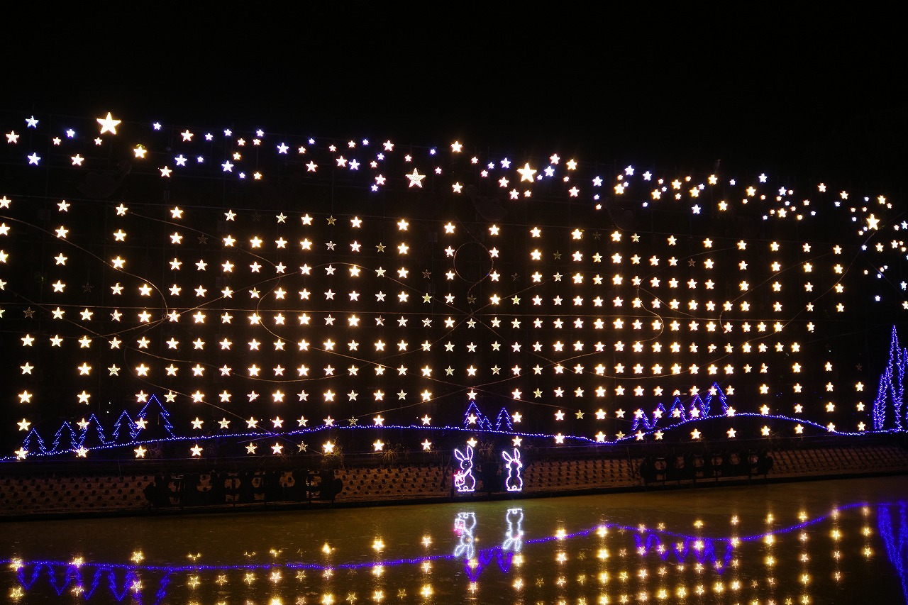 栃木県足利市のあしかがフラワーパークのイルミネーション