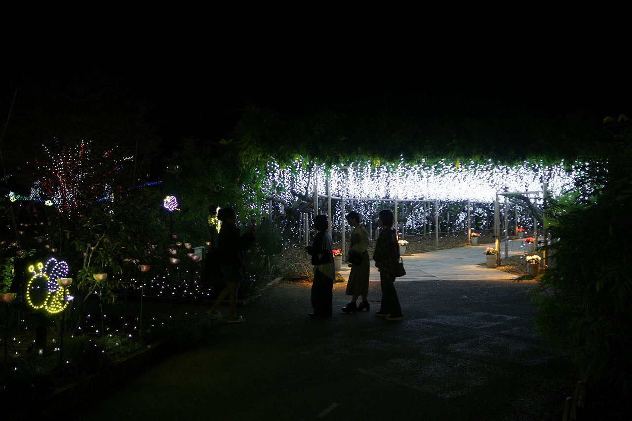 栃木県足利市のあしかがフラワーパークのイルミネーション