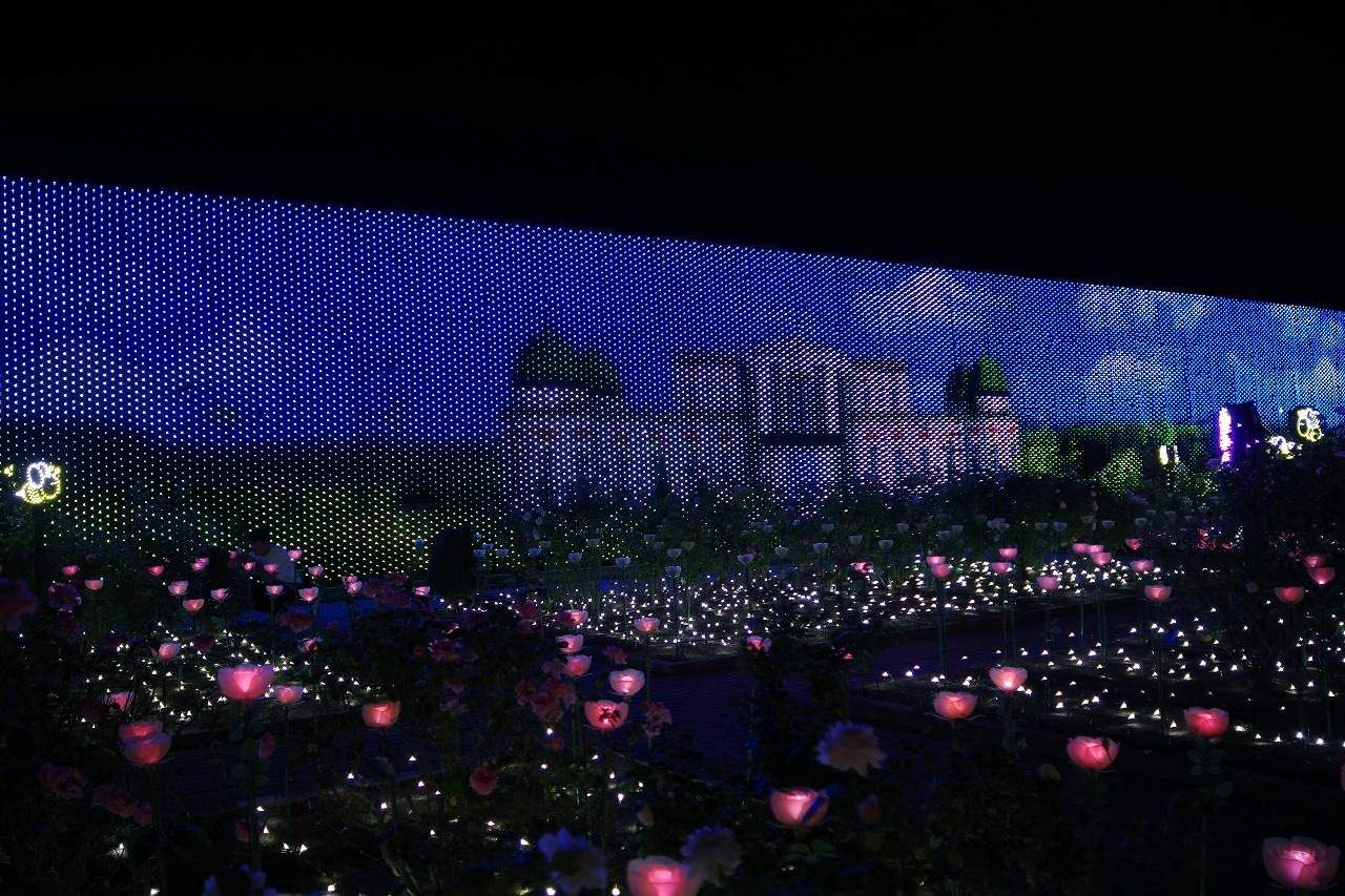 栃木県足利市のあしかがフラワーパークのイルミネーション