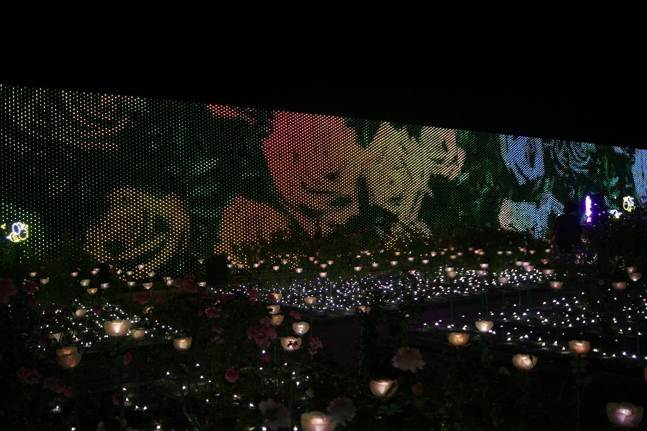 栃木県足利市のあしかがフラワーパークのイルミネーション