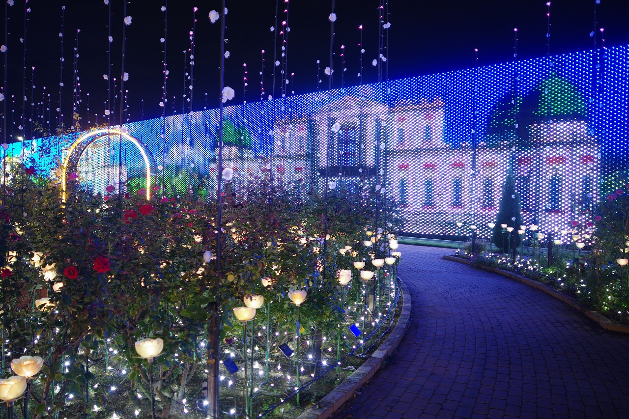 栃木県足利市のあしかがフラワーパークのイルミネーション