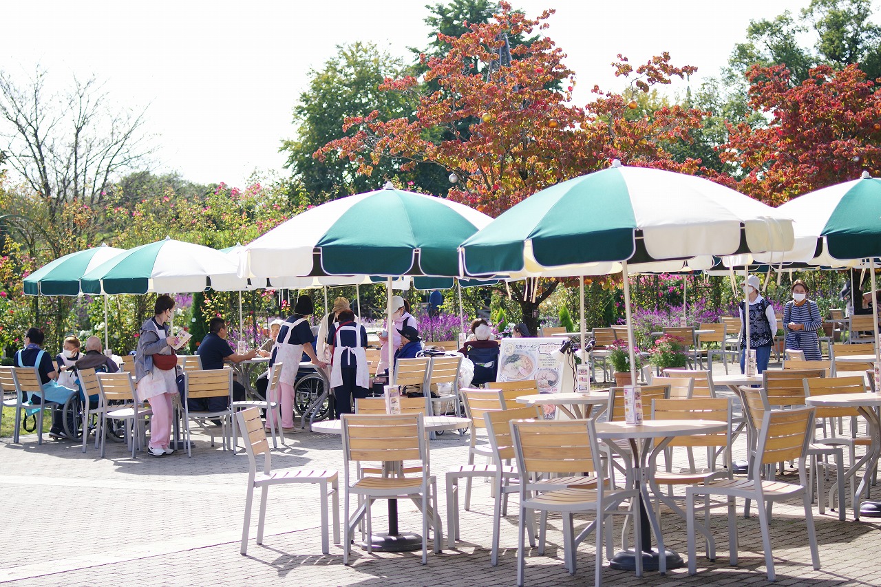 栃木県足利市のあしかがフラワーパークの花々
