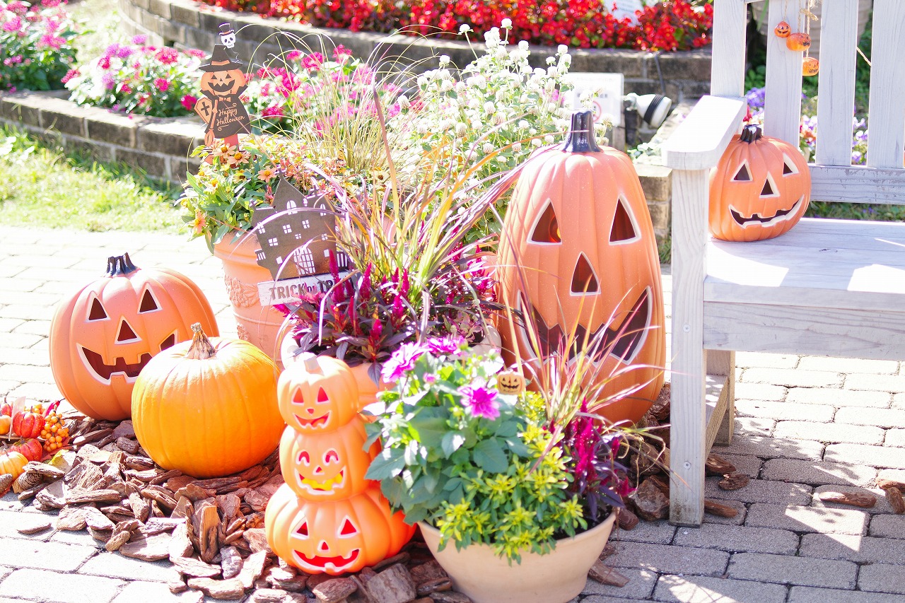 栃木県足利市のあしかがフラワーパークの花々
