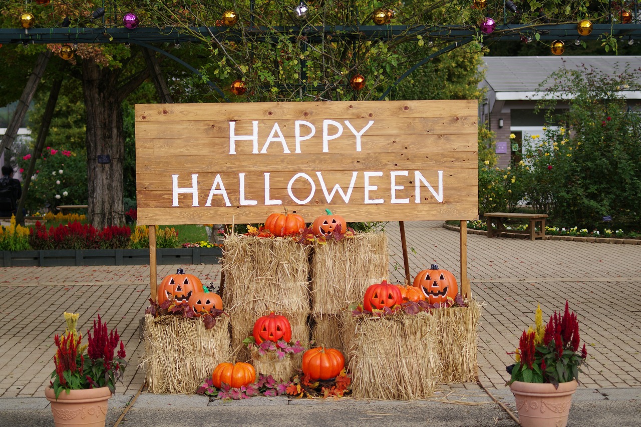栃木県足利市のあしかがフラワーパークの花々
