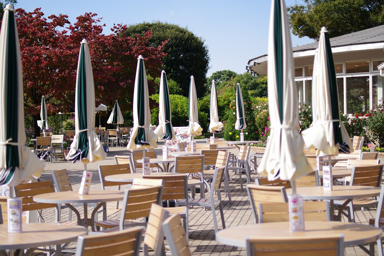 栃木県足利市のあしかがフラワーパークの花々