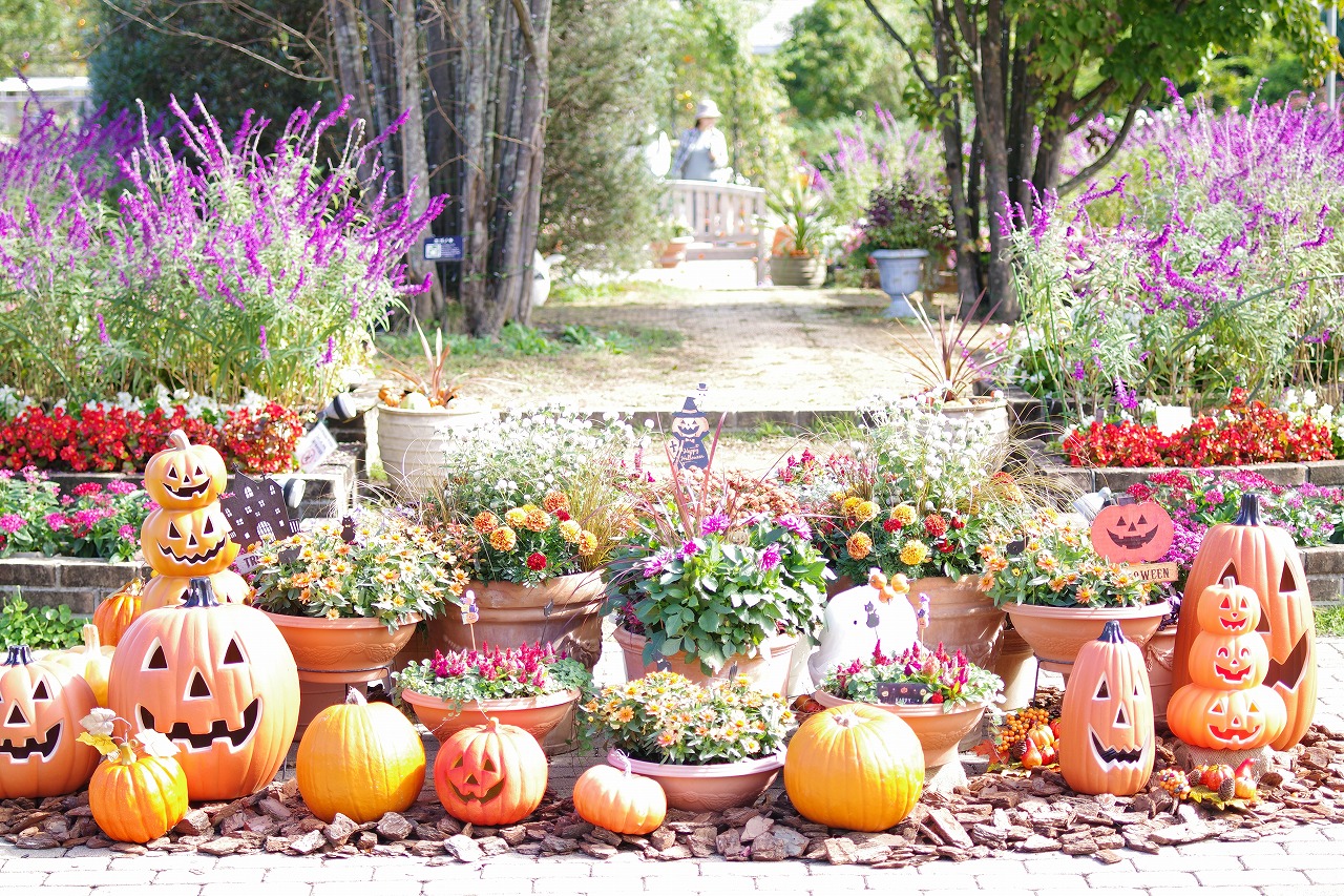 栃木県足利市のあしかがフラワーパークの花々