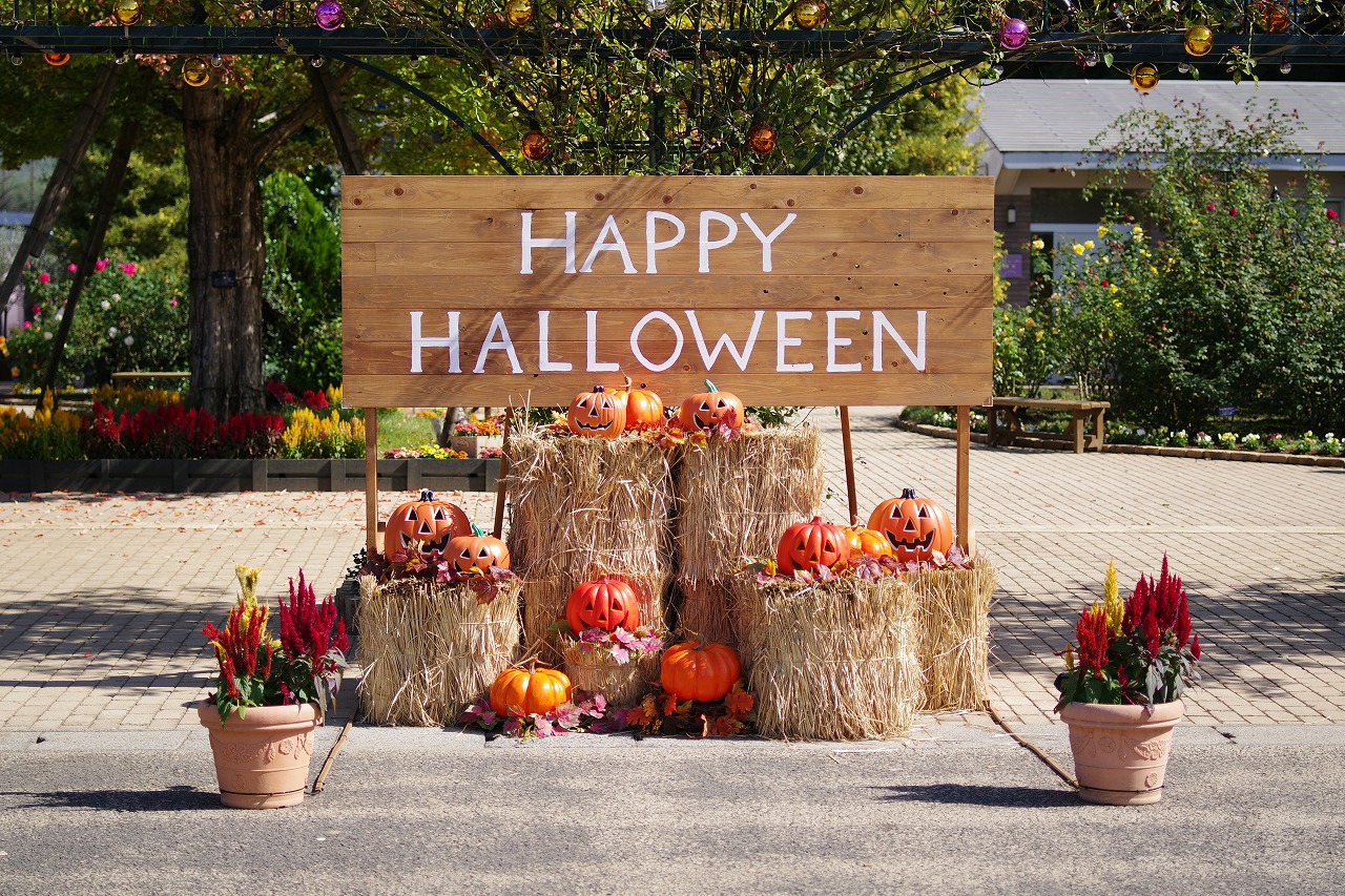 栃木県足利市のあしかがフラワーパークの花々