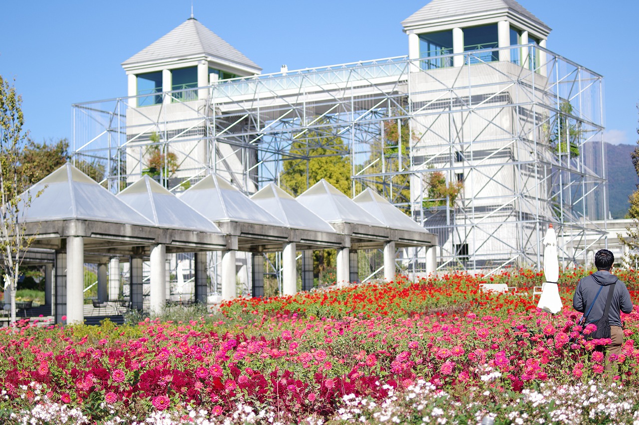 群馬県前橋市の群馬フラワーパークの花々