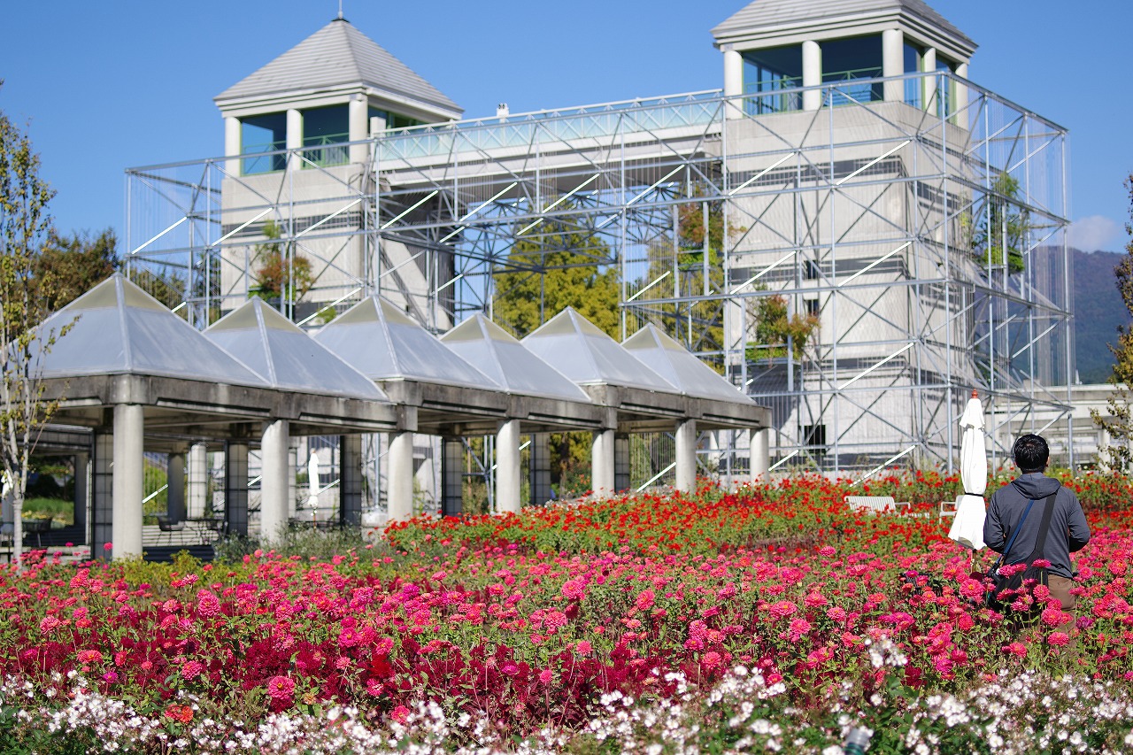 群馬県前橋市の群馬フラワーパークの花々