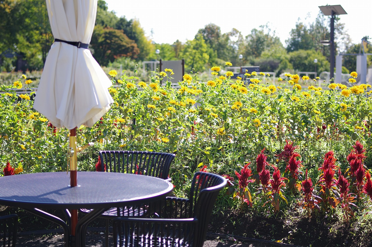 群馬県前橋市の群馬フラワーパークの花々