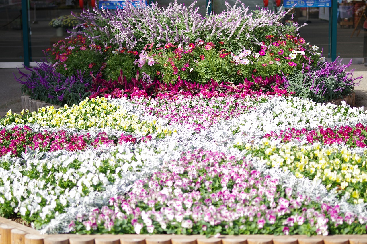 栃木県足利市のあしかがフラワーパークの花々